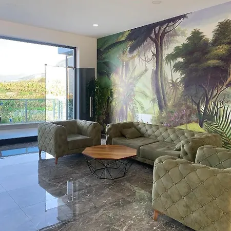 Apartment A Cozy With A Great View